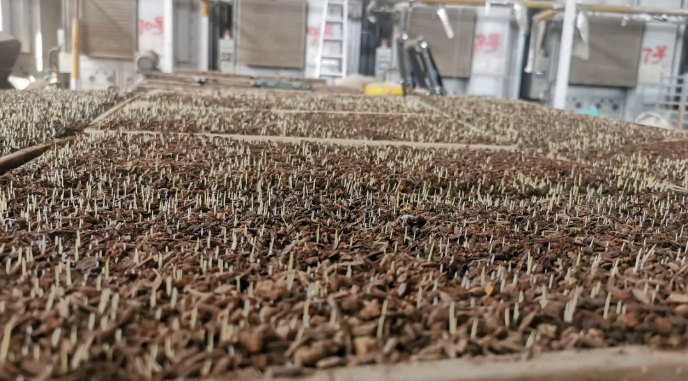 政府補(bǔ)80%，東陽為農(nóng)戶兜底！