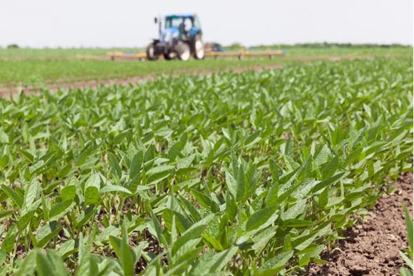 湖北省農(nóng)業(yè)機械鑒定站關(guān)于2025年第4批農(nóng)機試驗鑒定結(jié)果的通告