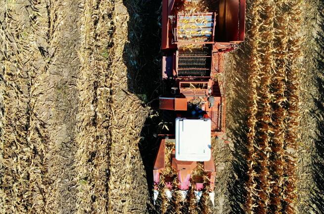 新疆大发体育场农机购置与应用补贴bob体b体育软件投档违规行为处理的通报